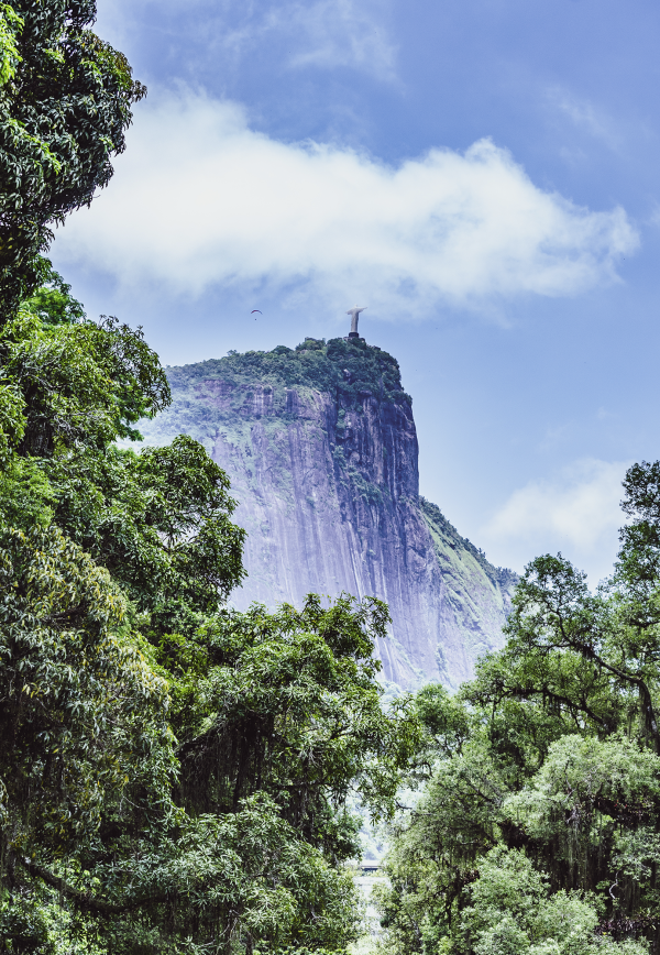 ERREJOTA