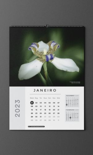Calendário Parede Nature 2Ø23