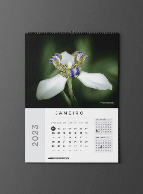 Calendário Parede Nature 2Ø23