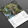 Calendário Parede Nature 2Ø23