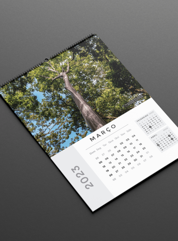 Calendário Parede Nature 2Ø23