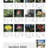 Calendário Parede Nature 2Ø23